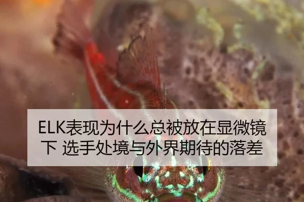 ELK表现为什么总被放在显微镜下 选手处境与外界期待的落差